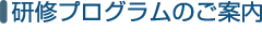 研修プログラムのご案内