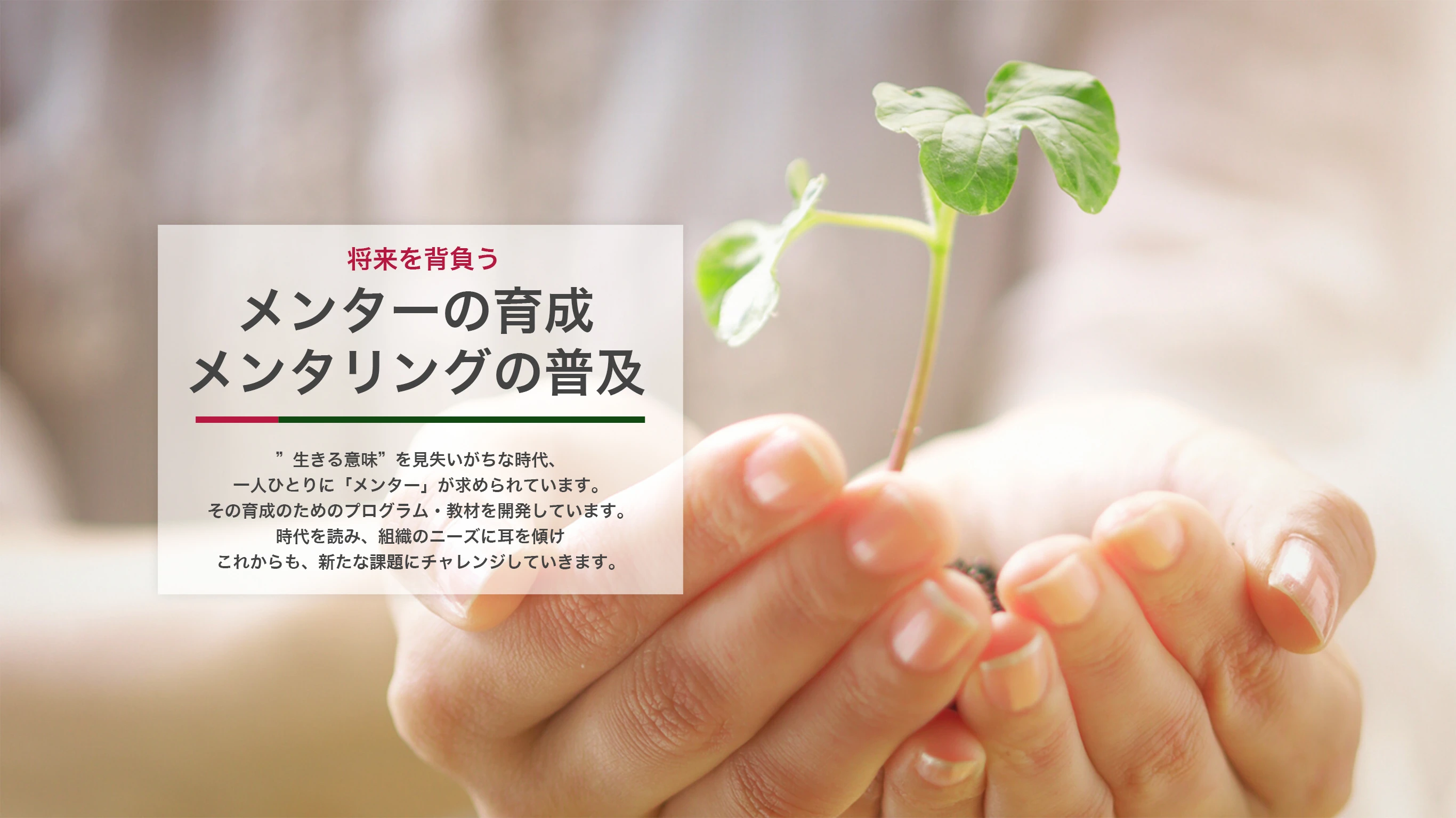 将来を背負う メンターの育成メンタリングの普及 “生きる意味”を見失いがちな時代、一人ひとりに「メンター」が求められています。その育成のためのプログラム・教材を開発しています。時代を読み、組織のニーズに耳を傾けこれからも、新たな課題にチャレンジしていきます。